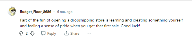 Dropshipping Store